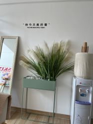 -skin79皮肤管理基站