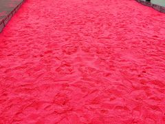 -艾溪湖湿地公园