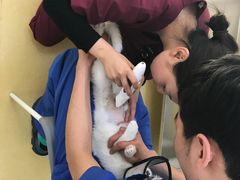 -芭比堂动物医院·犬猫全科·异宠专科(雁塔分院)