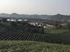 -帐篷客·溪龙茶谷度假酒店