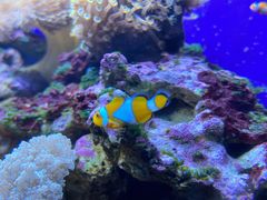 -江和美海洋公园