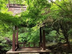 -杭州半山国家森林公园