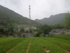 -千岛湖石林
