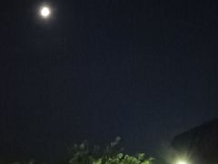 -寻梦滕王阁实景演出