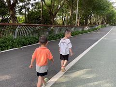 -飞凤山奥体公园