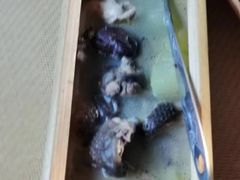 -火咂咂竹筒宴(告庄店)