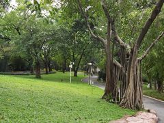 -晓港公园