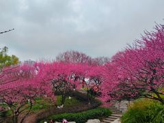 -重庆彩云湖湿地公园