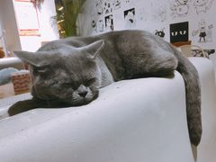 -小时光咖啡馆(开森度假森林店)