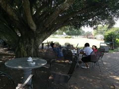 -侯臣咖啡文化村