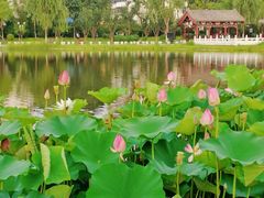 -西海子公园