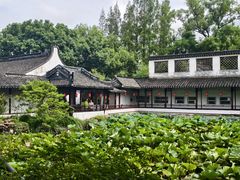 -上海醉白池公园