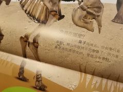 -北方图书城(沈阳天地店)