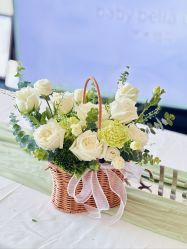 -baby bella小贝拉母婴护理中心(珠海希尔顿店)