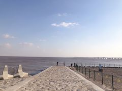 -南汇新城海滩