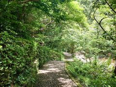 -宁波五龙潭景区