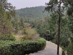 -云龙山