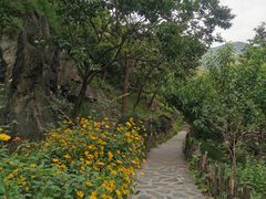 -北京水岸山吧度假村(雁栖镇店)