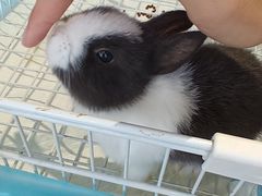 -怪兽屋·羊驼·猫咖·狗咖(俊华广场店)