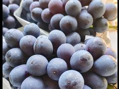 -马陆小张葡萄园农家乐