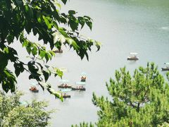 -黔灵山公园