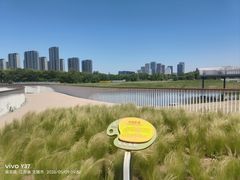 -尚贤河湿地