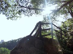 -金鸡山公园