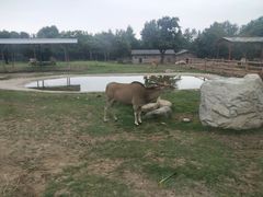 -西安秦岭野生动物园