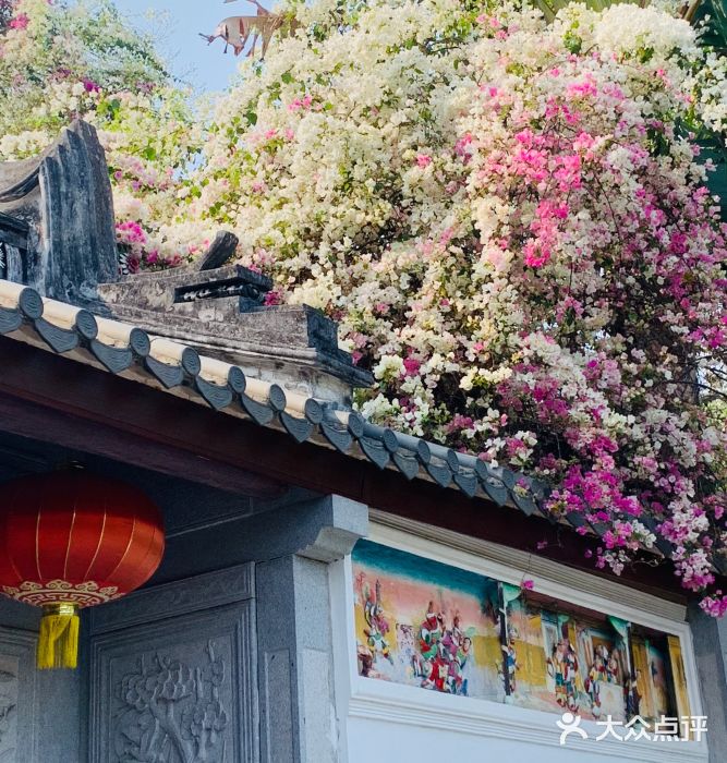 深圳国际园林花卉博览园图片