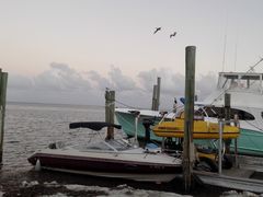 -Wahoo's Seafood Bar and Grill Restaurant