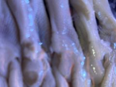 -阿串串老火锅(力盟店)