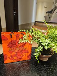 -上海薇琳医疗美容医院