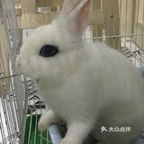夏日带孩子和萌兽一起互动吧！