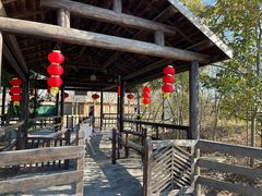 -溱湖国家湿地公园