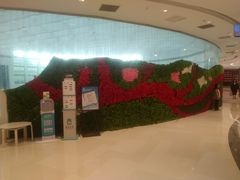 -HELLO MUSAE 拾光缪斯餐厅·纯正希腊风味(苏州中心店)