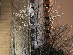 -霖公馆SPA·足道(普善路店)