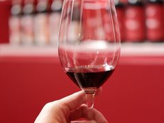 -成都尼依格罗酒店