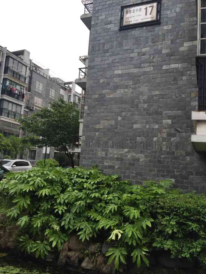 莲花庄小区-"莲花庄小区因为莲花庄公园而得名.大概是0.