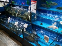 水产区-盒马鲜生(馥邦国际店)