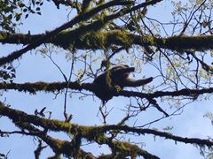 -西岭雪山大飞水景区