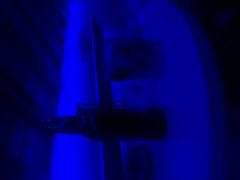 -Sirena海妖日咖夜酒