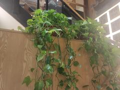 -霸王茶姬(南强街店)