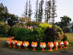 -上海长兴岛郊野公园