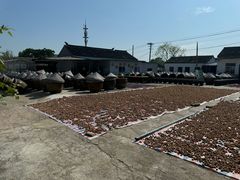 -苏州市吴中区光福窑上花果蜜饯厂