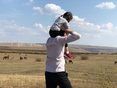 -塞罕坝国家级自然保护区