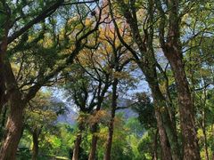 -福清灵石山国家森林公园
