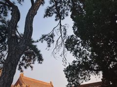 -故宫博物院(故宫)