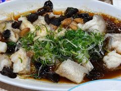 清蒸龍躉頭腩-海港酒家(始创中心店)