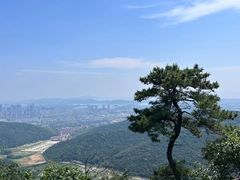 -惠山国家森林公园