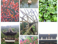 iphone_upload_pic-太湖渔洋山